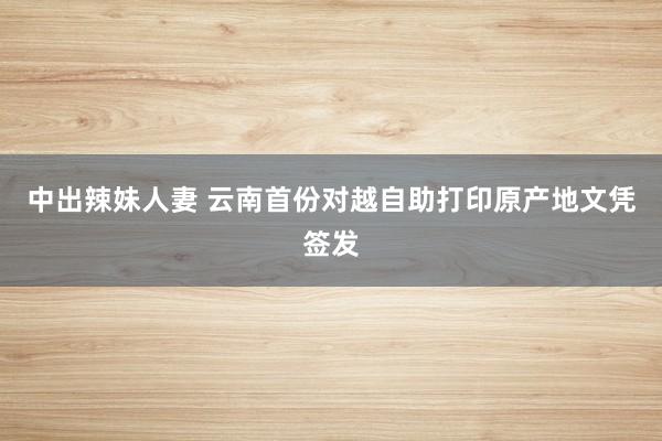 中出辣妹人妻 云南首份对越自助打印原产地文凭签发