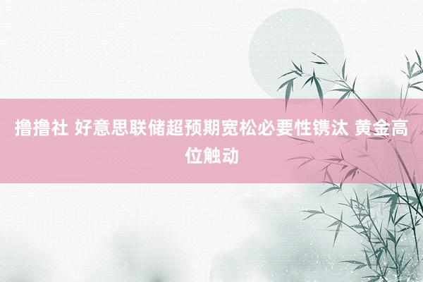 撸撸社 好意思联储超预期宽松必要性镌汰 黄金高位触动
