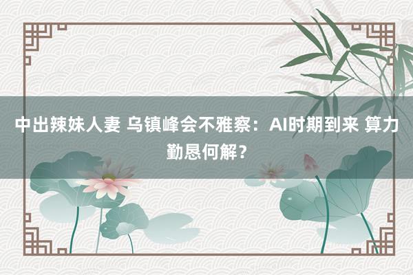 中出辣妹人妻 乌镇峰会不雅察：AI时期到来 算力勤恳何解？