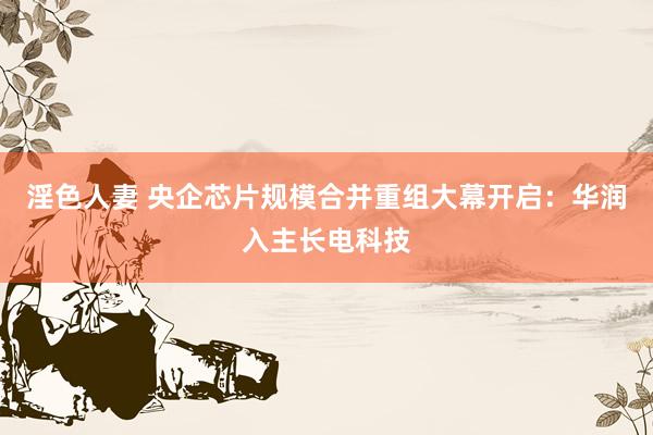 淫色人妻 央企芯片规模合并重组大幕开启：华润入主长电科技