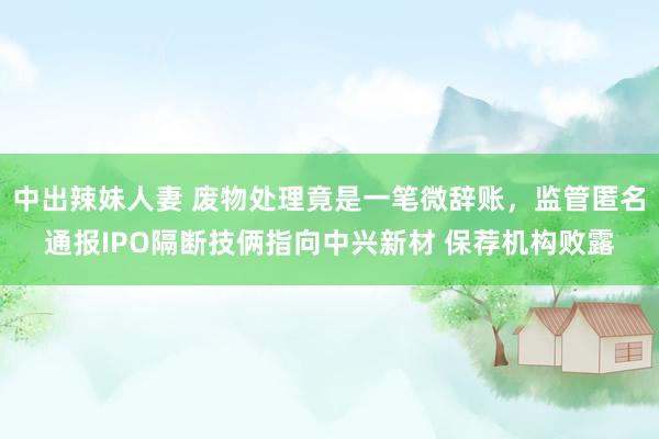 中出辣妹人妻 废物处理竟是一笔微辞账，监管匿名通报IPO隔断技俩指向中兴新材 保荐机构败露