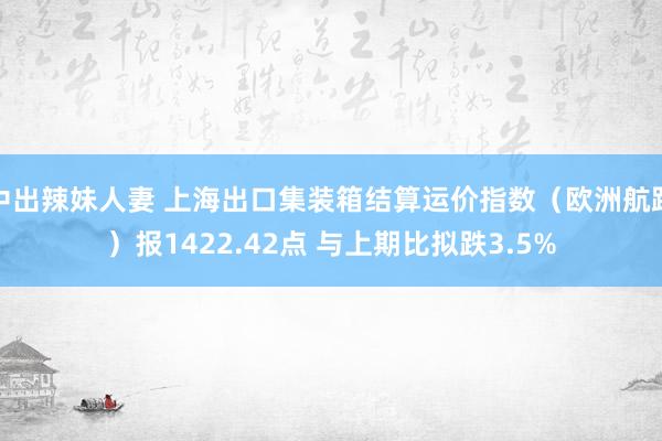 中出辣妹人妻 上海出口集装箱结算运价指数（欧洲航路）报1422.42点 与上期比拟跌3.5%